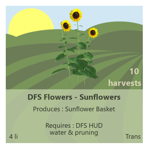 DFS Flowers - Sunflowers