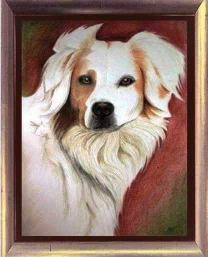 The dog