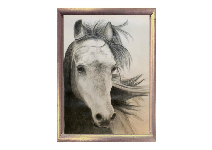 the  horse