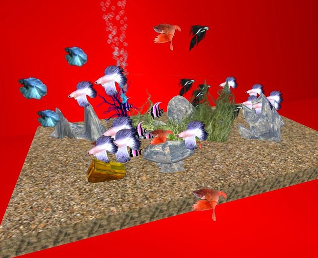 Exotic Fish Population by Rita Munro