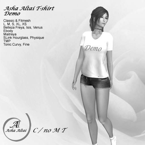 AA - Demo - Asha Altai Ladies T-Shirt