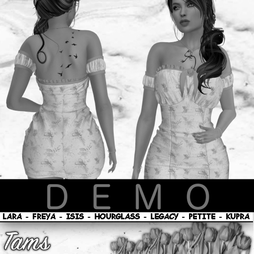 DEMO - Fitted Dress - Constance