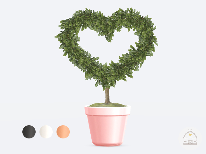 hive // outlined heart boxwood topiary