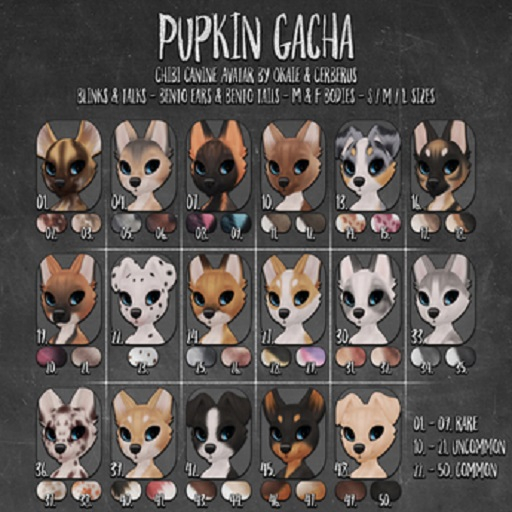 .{o}. Pupkin // 18 UNCOMMON // GSD // Voucher