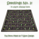 T-Spot Mesh - Seedlings No. 2 in Plant Displ. Box - FP - LI=1.0
