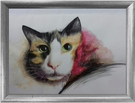 the cat