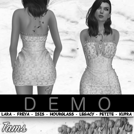 DEMO - Fitted Dress - Petra