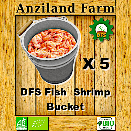DFS Fish - Shrimp Bucket X 5