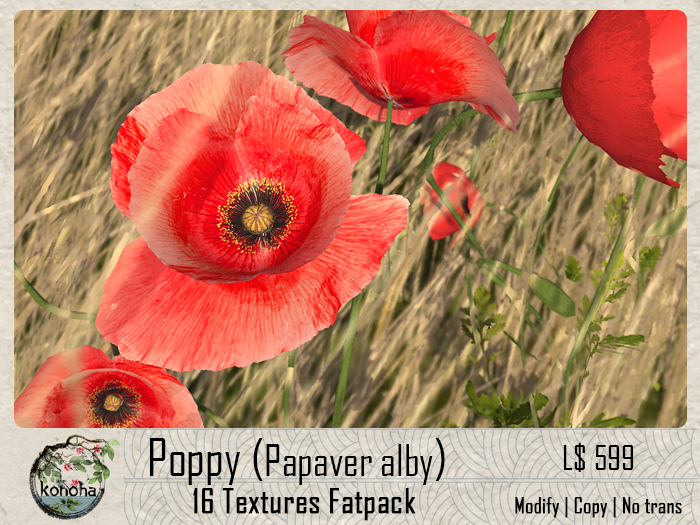 Konoha - Papaver alby (Poppy) Fatpack V.018