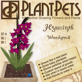 PlantPet Seed [Hyacinth *Woodstock*]