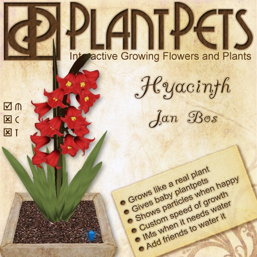 PlantPet Seed [Hyacinth *Jan Bos*]