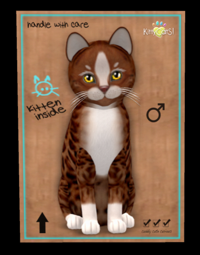 Genesis - Ginger II No320