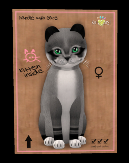 Foxie - Argyle No342