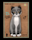 Foxie - Argyle No348
