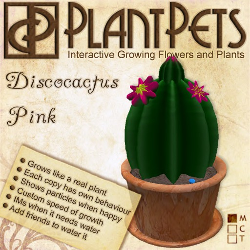 PlantPet Seed [Discocactus *Pink*]