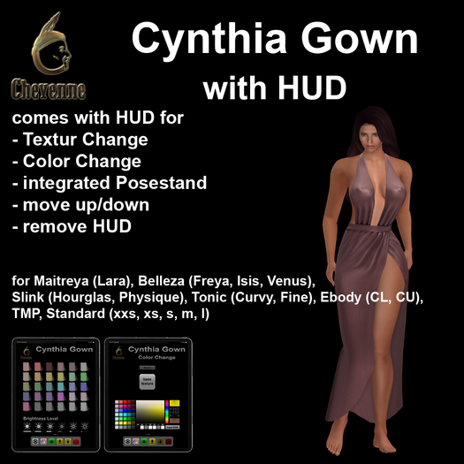 Cheyenne's Cynthia Gown - DEMO