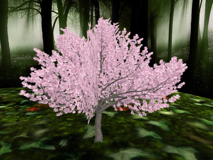 Blossoming Cherry(pink)