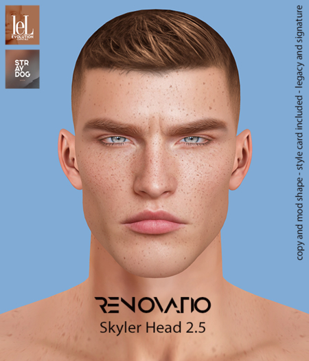 RENOVATIO Evo Dino Shape 