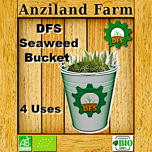 DFS Seaweed Bucket (4 Uses)