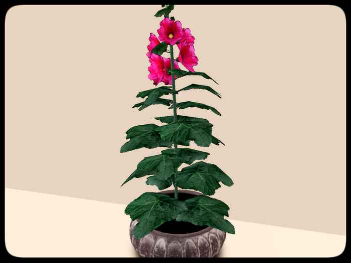 [AE] Garden Store - Miranda Flower Pot - pink