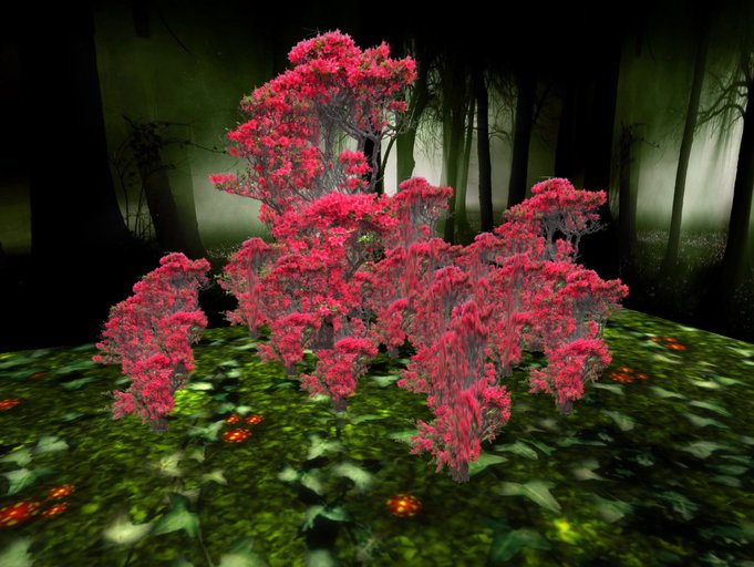 Panoramic blossoming turkey trees