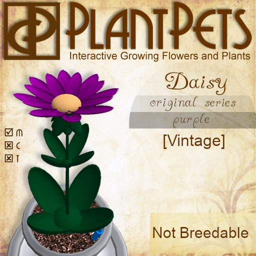 PlantPet Seed [Daisy *Original Purple*]