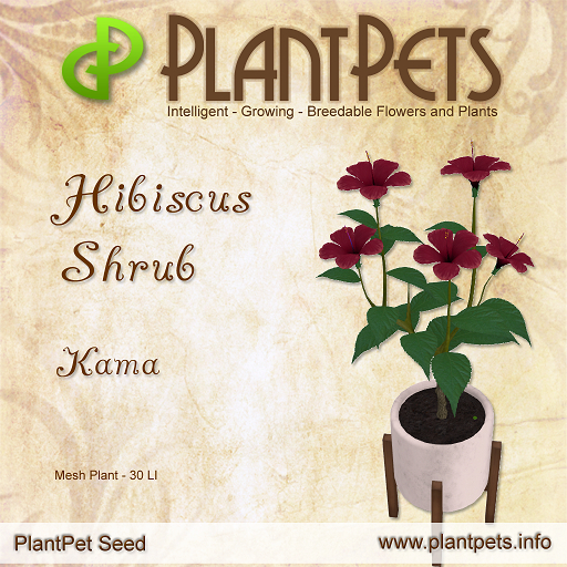 PlantPet Seed [Hibiscus Shrub *Kama*] RARE