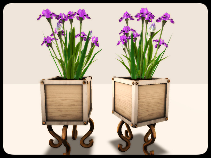 [AE] Garden Store - Iris Box Planter - purple