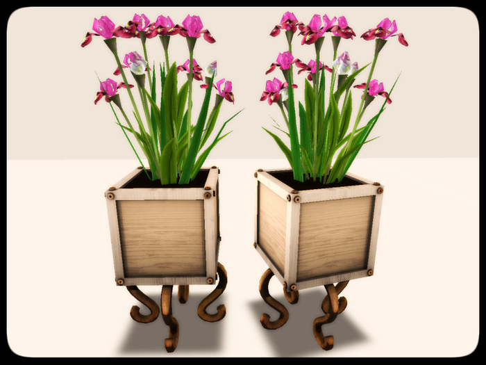 [AE] Garden Store - Iris Box Planter - pink