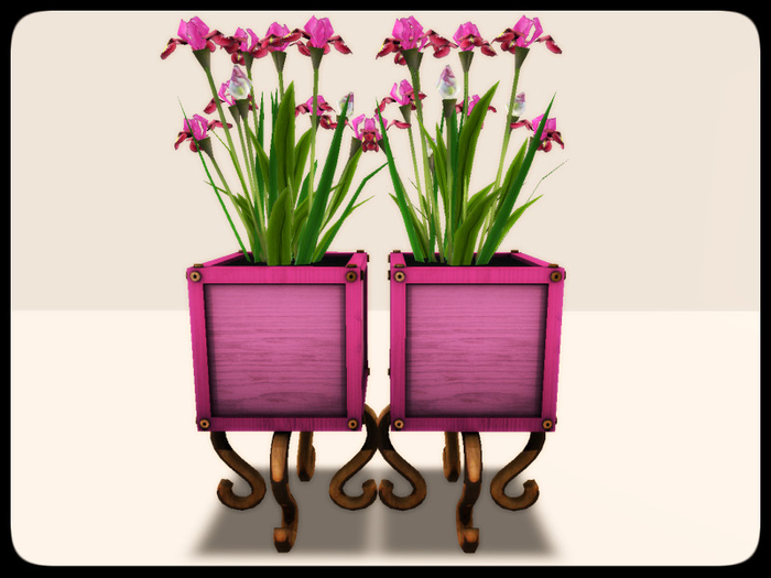 [AE] Garden Store - Iris Color Box Planter - pink