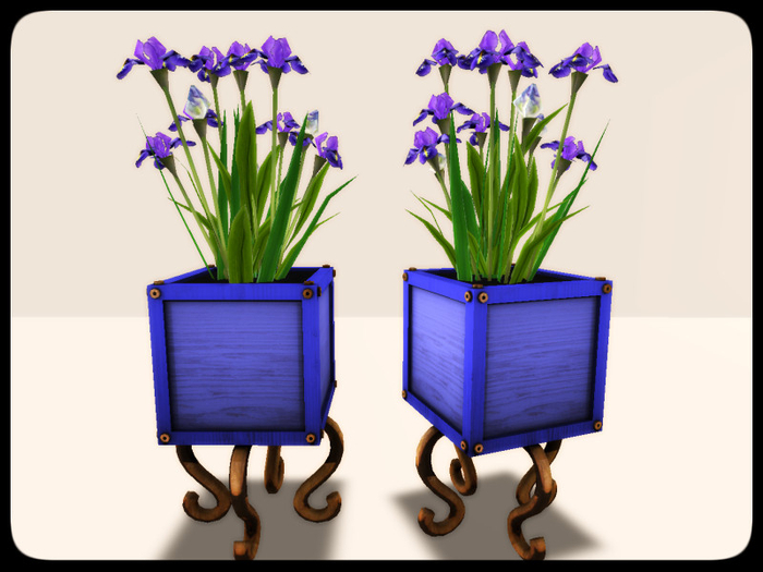 [AE] Garden Store - Iris Color Box Planter - lavender