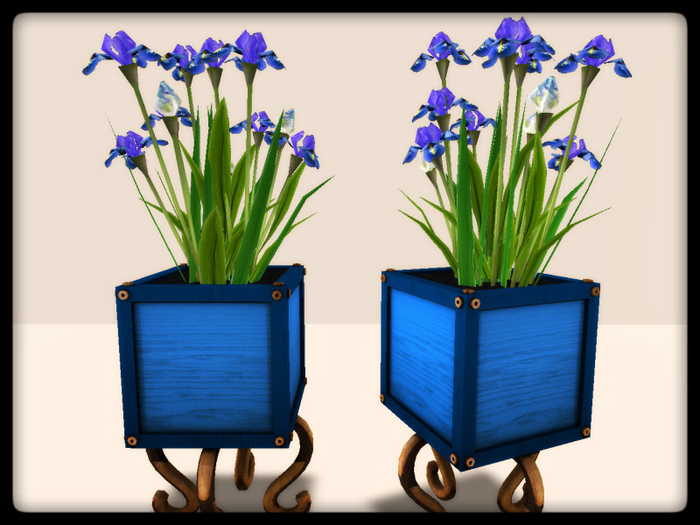 [AE] Garden Store - Iris Color Box Planter - blue