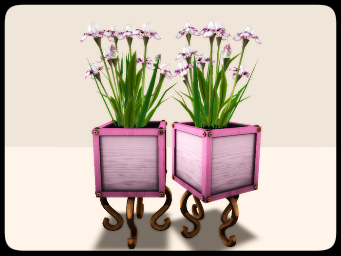 [AE] Garden Store - Iris Color Box Planter - wh pink