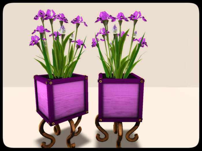 [AE] Garden Store - Iris Color Box Planter - purple
