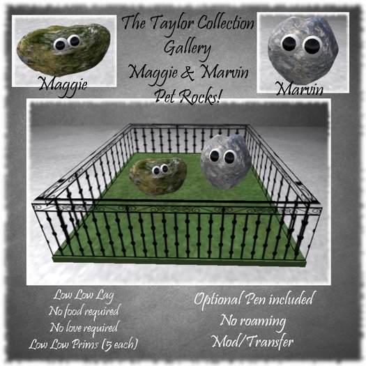 Non- Breedable Pets :  Maggie & Marvin the Pet Rocks !