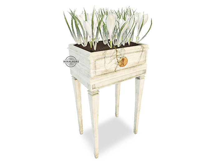 *LODE* Decor - Crocus Wood Box [white] RARE