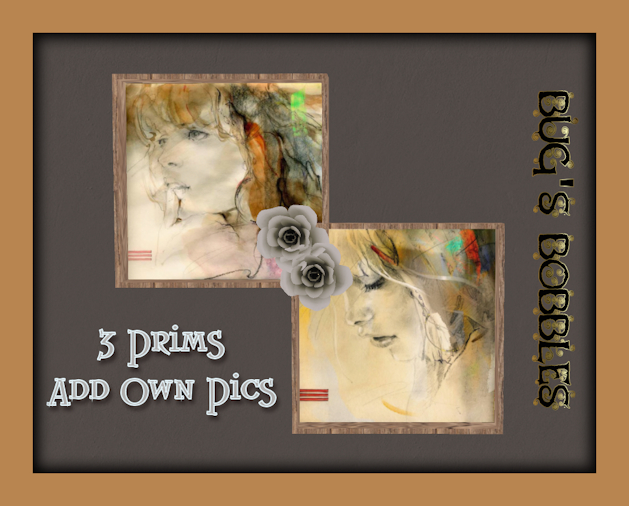 BB-Double Floral Frame
