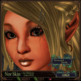 =^.^= Curious Kitties Fantasy Fuzz - Nor Lhach Skin - Bronzed Earth