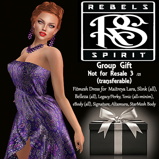 RebelsSpirit GroupGift NotForSale 03/21