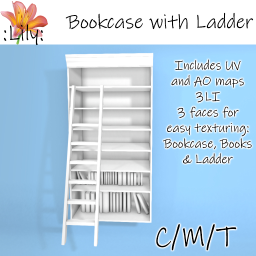 :LILY: Bookcase with Ladder