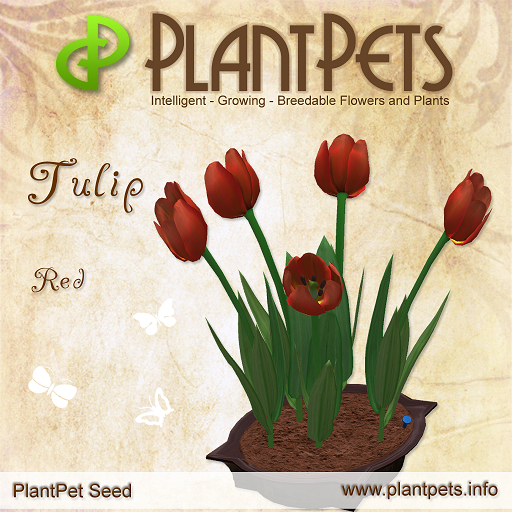 PlantPet Seed [Tulip *Red*]