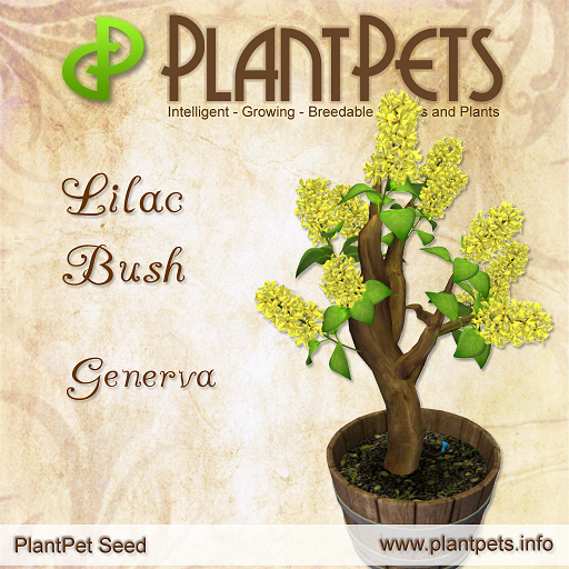 PlantPet Seed [Lilac Bush *Generva*]