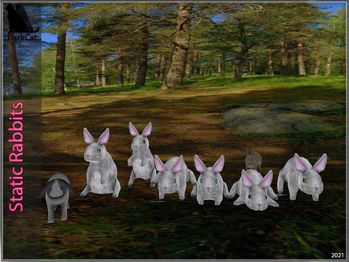 *.:Dark Cat:.*BLD-Static Rabbits