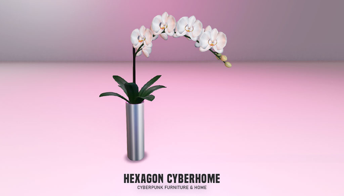 HEXAGON orchid silver