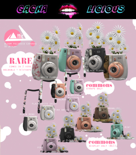 -ATTIC- Bloom Polaroid Pink Daisy