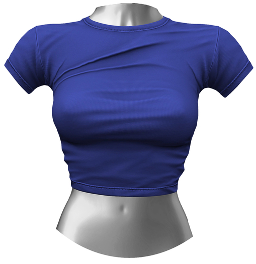 RIOT / Aubrey Crop Tee - Royal