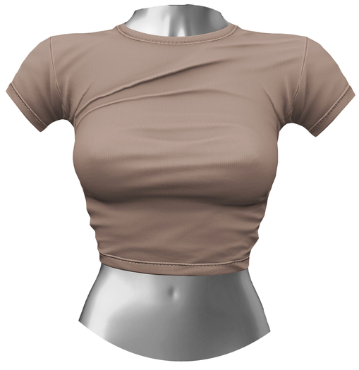 RIOT / Aubrey Crop Tee - Taupe