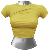 RIOT / Aubrey Crop Tee - Summer