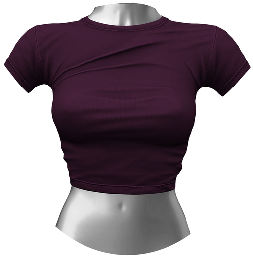 RIOT / Aubrey Crop Tee - Plum