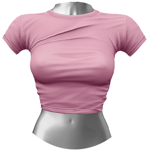 RIOT / Aubrey Crop Tee - Blush